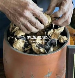 從南洋到美洲:陳皮如何成為華僑的鄉(xiāng)愁符號?