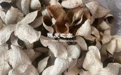 陳皮陳幾年才算有藥效?