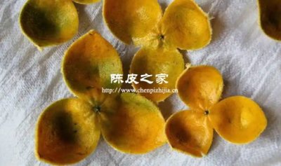 濕陳皮別暴曬！教你正確保存法，放 5 年依然香醇