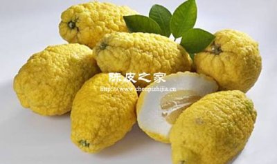 陳皮配香櫞，理氣寬胸新選擇