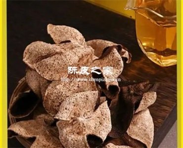 梅江陳皮“豬鬃紋”是真是假？顯微鏡下見分曉