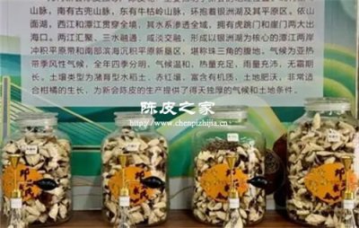 元宇宙陳皮博物館：數字藏品的文化IP