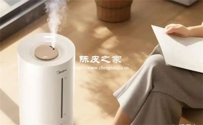 空調(diào)房喉嚨干？陳皮雪梨飲比加濕器更管用