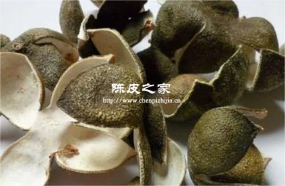 青皮、微紅皮、大紅皮:分別適合哪些體質?